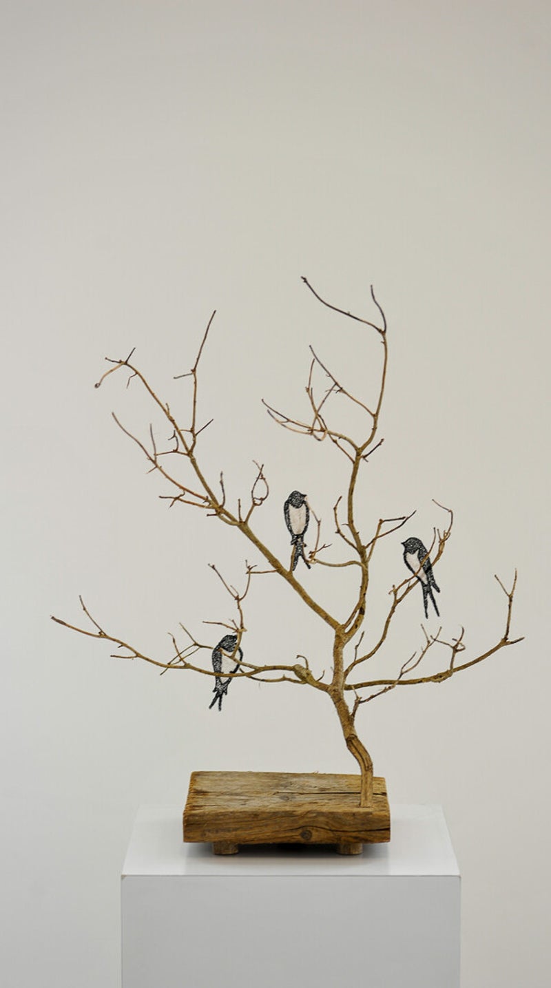 BIRDS 2