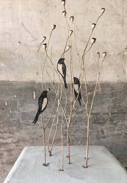 BIRDS 1
